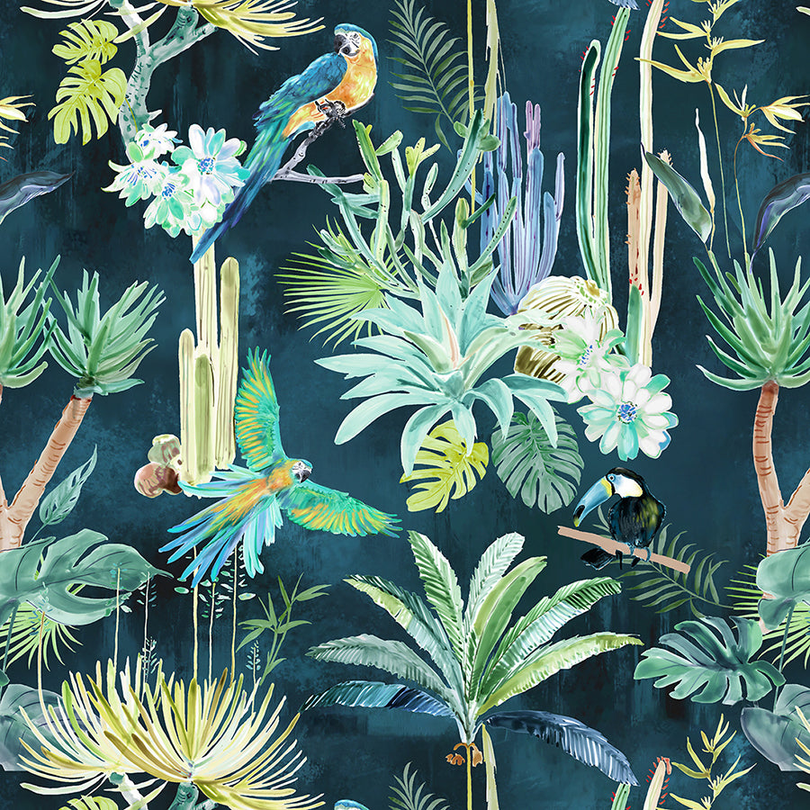 Haven Rainforest Night