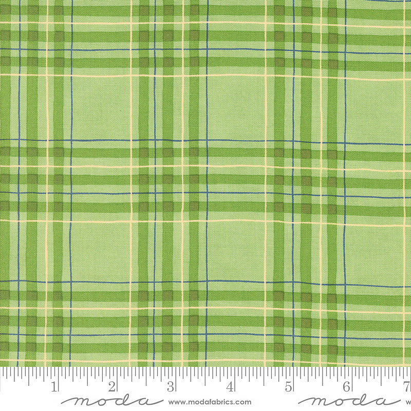 On Lake Time Checks & Plaids Spring
