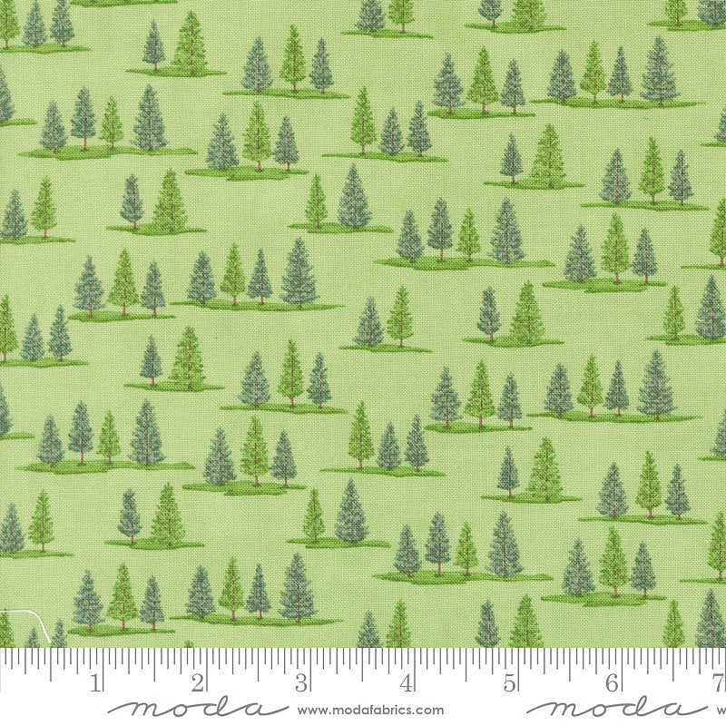 On Lake Time Tiny Trees Spring