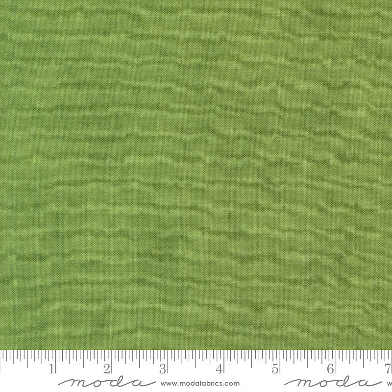 On Lake Time Shaded Solid Evergreen