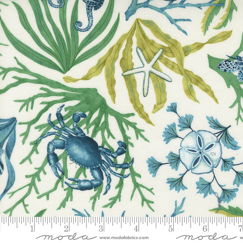 Seaside Coastal All Over Seafoam White