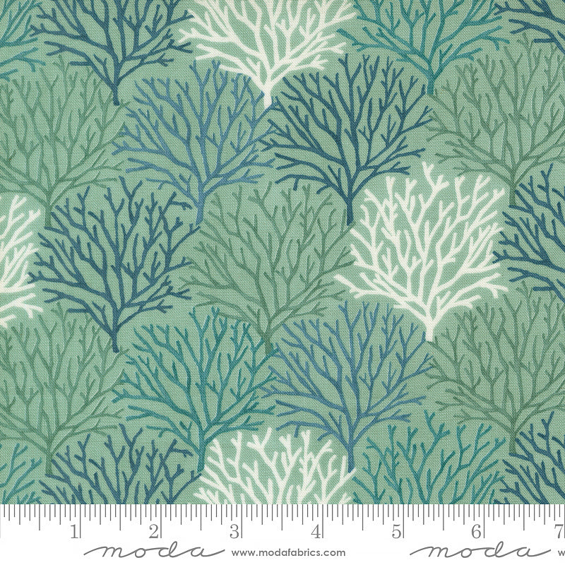 Seaside Coastal Coral Aqua
