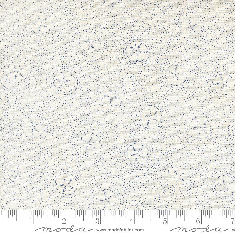 Seaside Sand Dollar Ripples Seafoam White