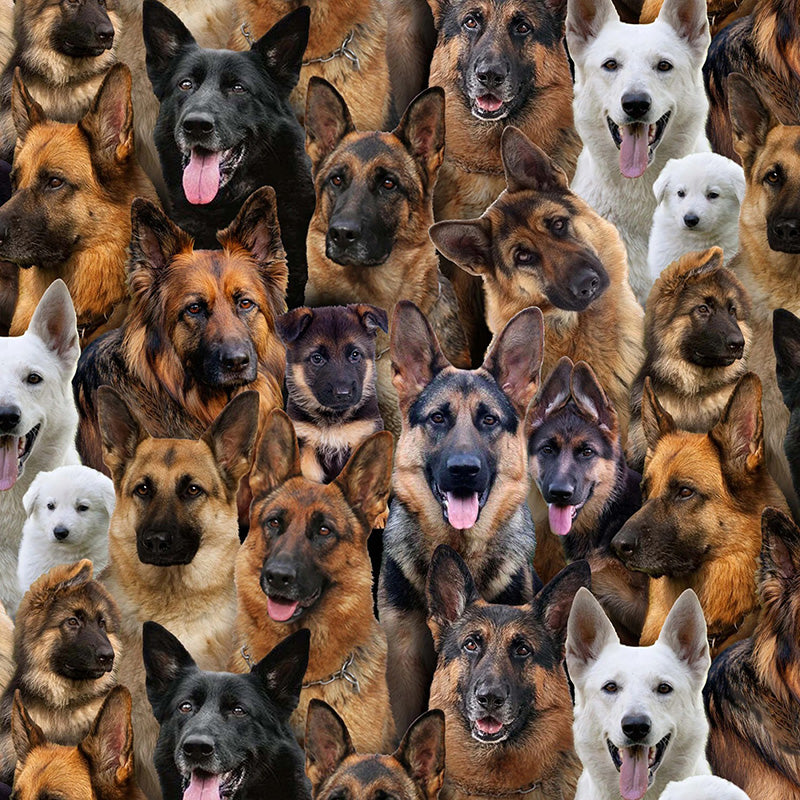 Best Friend German Shepard Multi