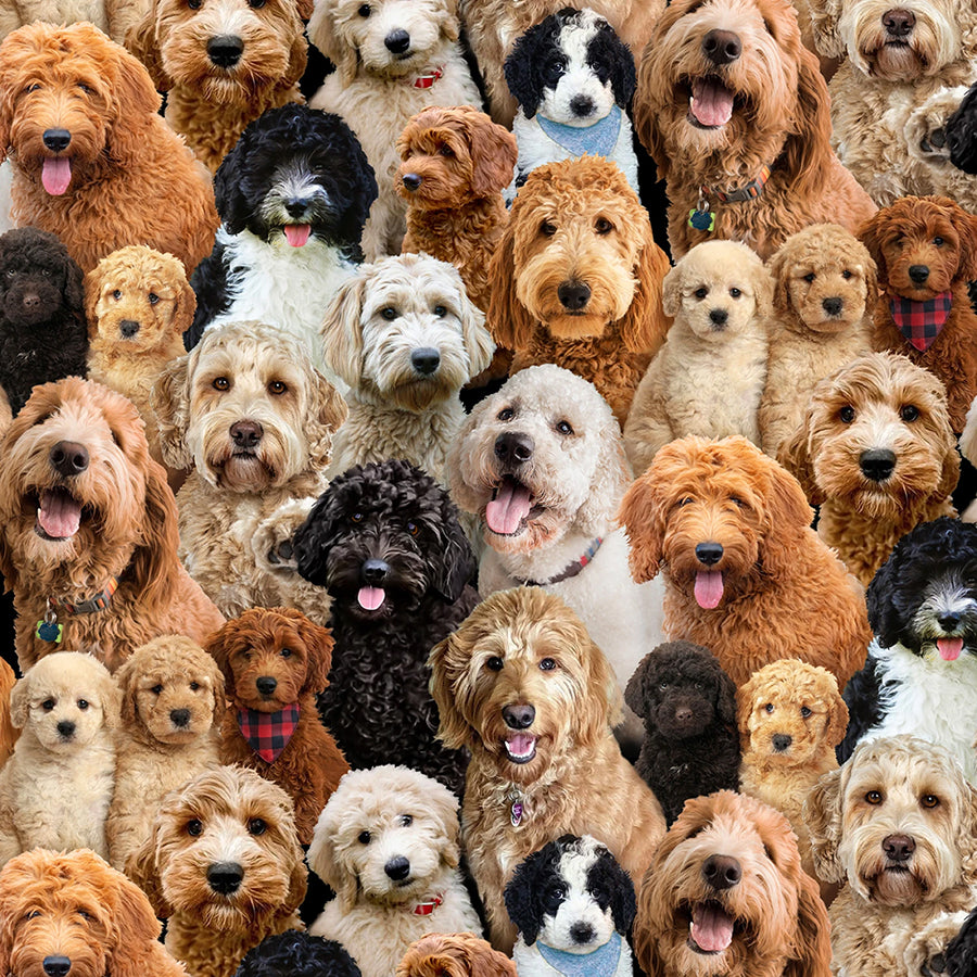 Best Friend Mixed Breeds Multi