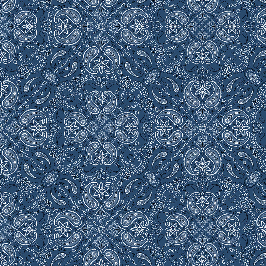 Riders on the Range Paisley Blue