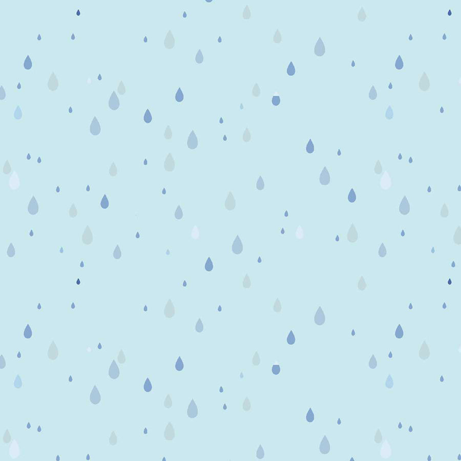 Lucky Duck Raindrops Sky