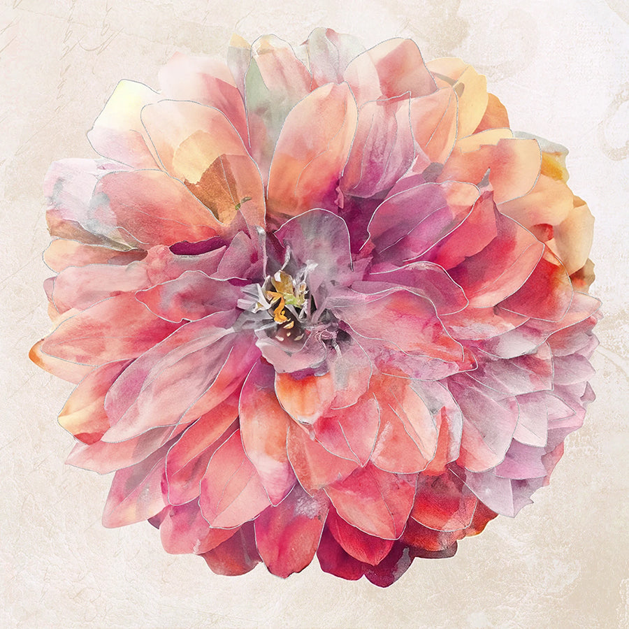 Rosé All Day 43" Flower Power Panel Rose