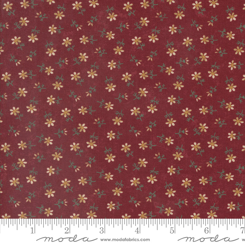 Daisy Lane Daisy Florals Carnation