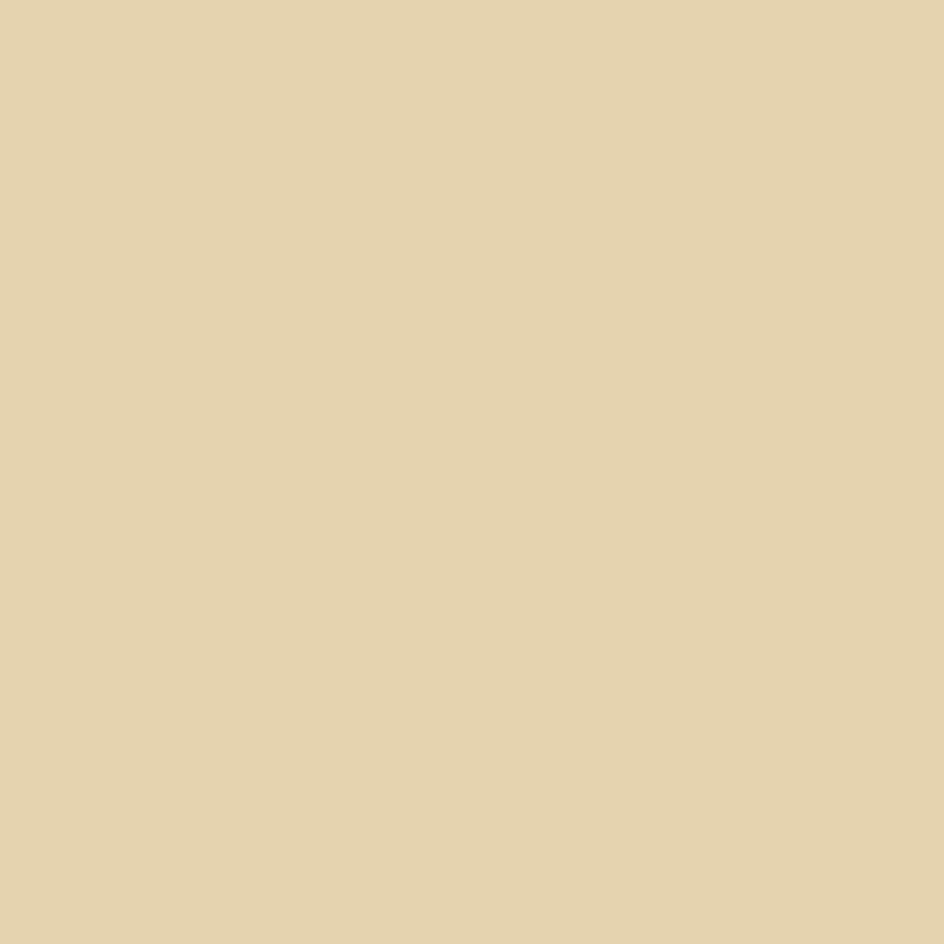 Confetti Cottons Solids Biscuit