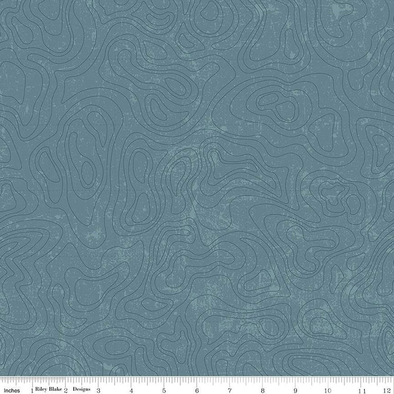 National Parks Topographic Blue