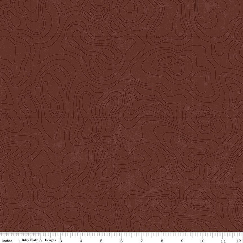 National Parks Topographic Brown
