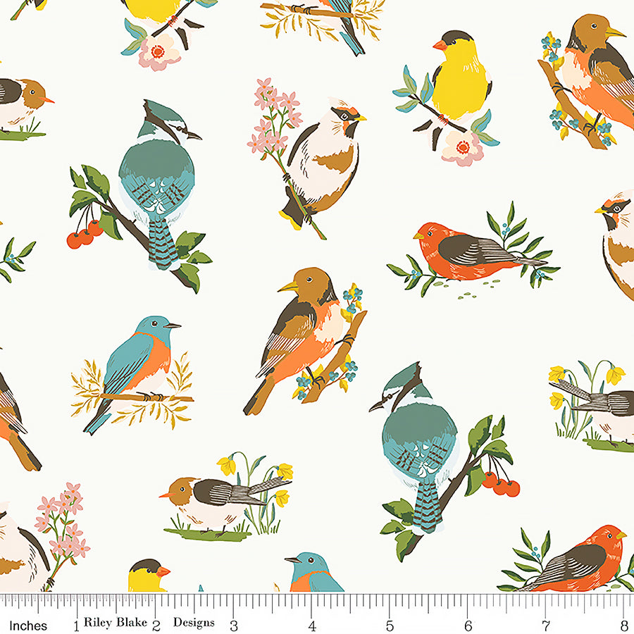 Winged Medley Birds Cloud