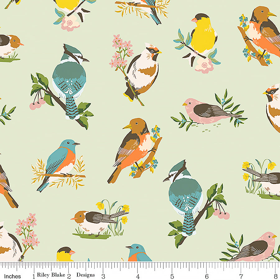 Riley Blake Winged Medley Birds Sage 1 Yard Cut