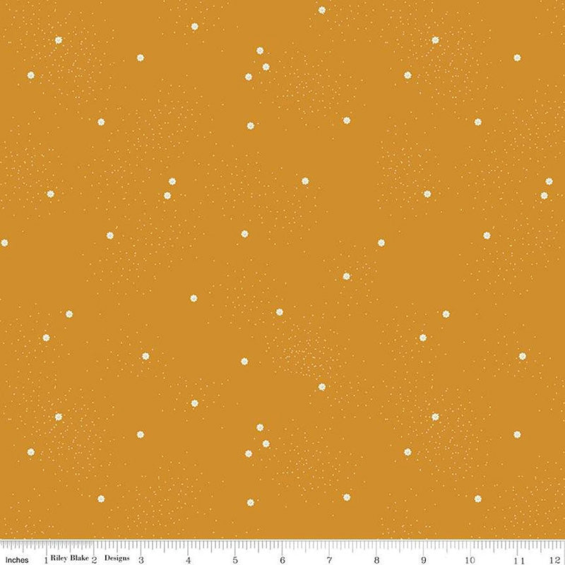 Dainty Daisy Butterscotch