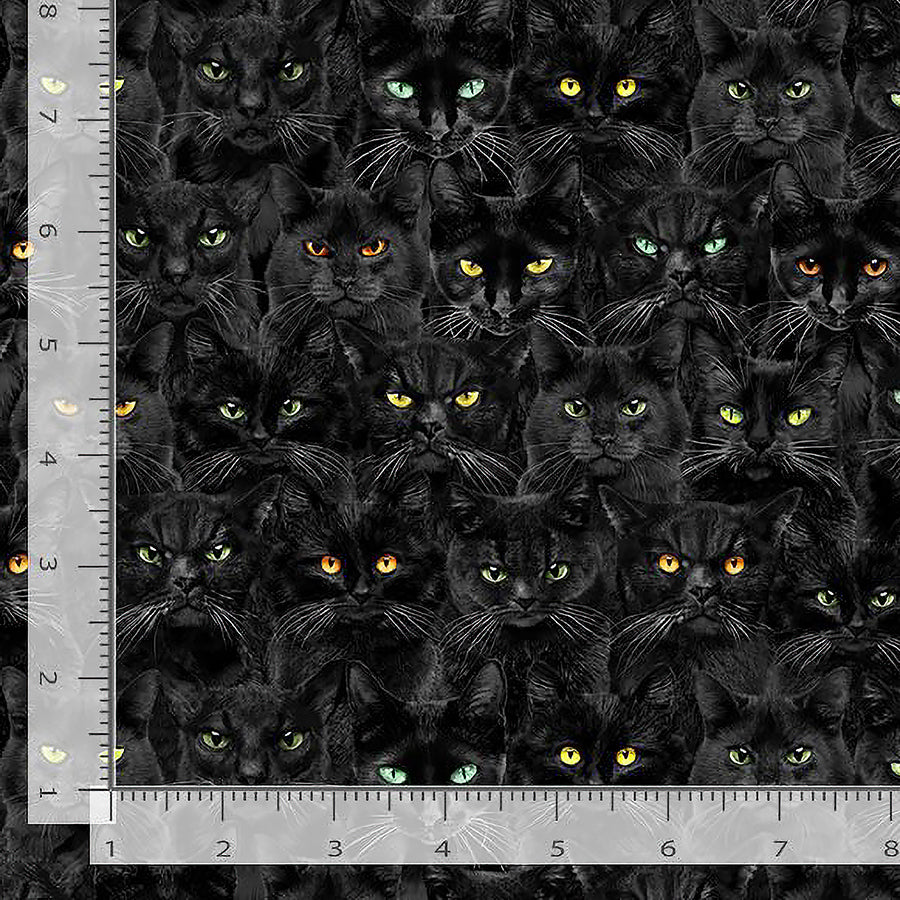 Wicked Willow Cats Glow Eyes Black