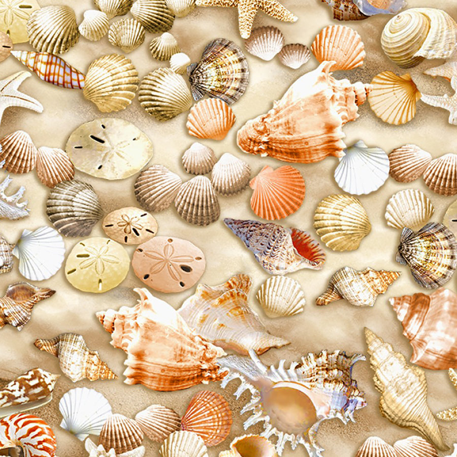 Water's Edge Shells Multi