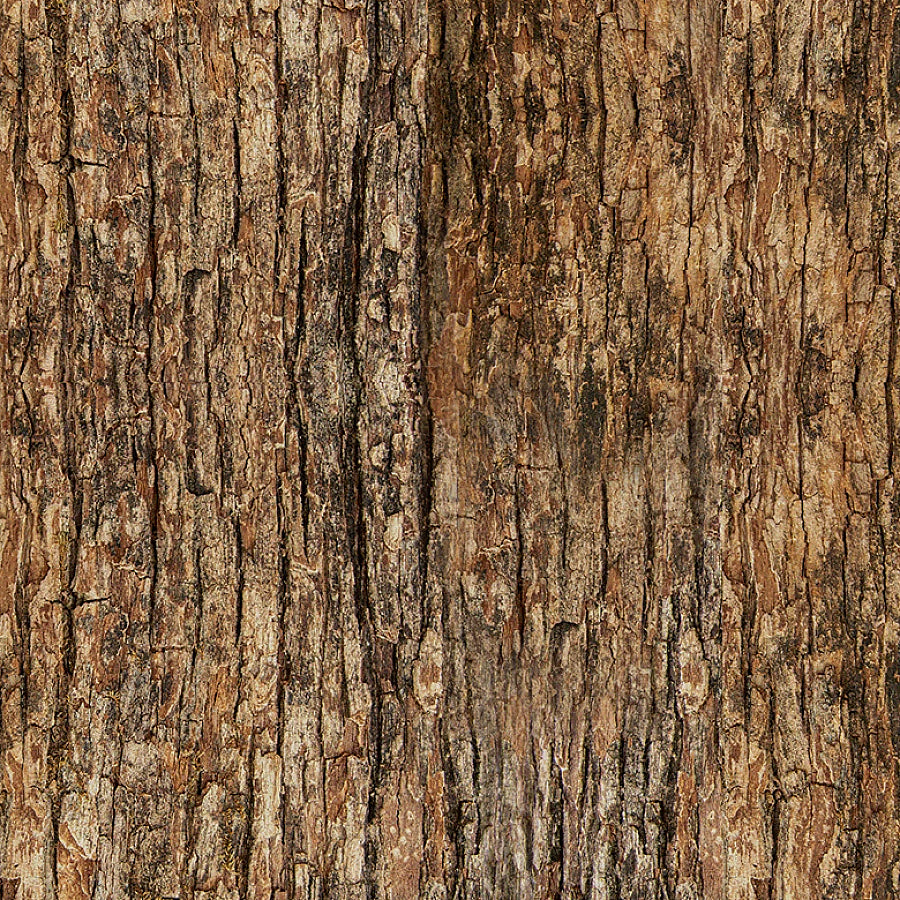 Woodland Retreat Wood Tree Bark Brown
