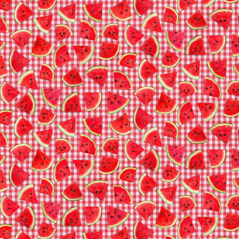 Fresh Fruit Watermelon Slice on Plaid Red