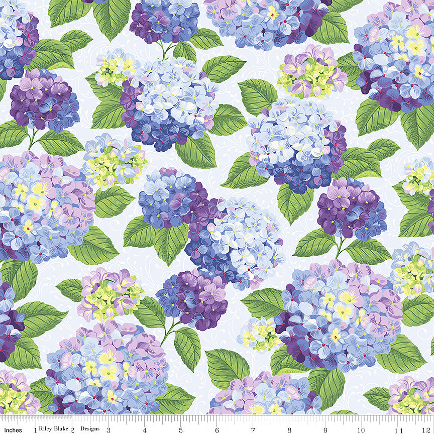 Hydrangeas in the Garden Main Powder Pearlized