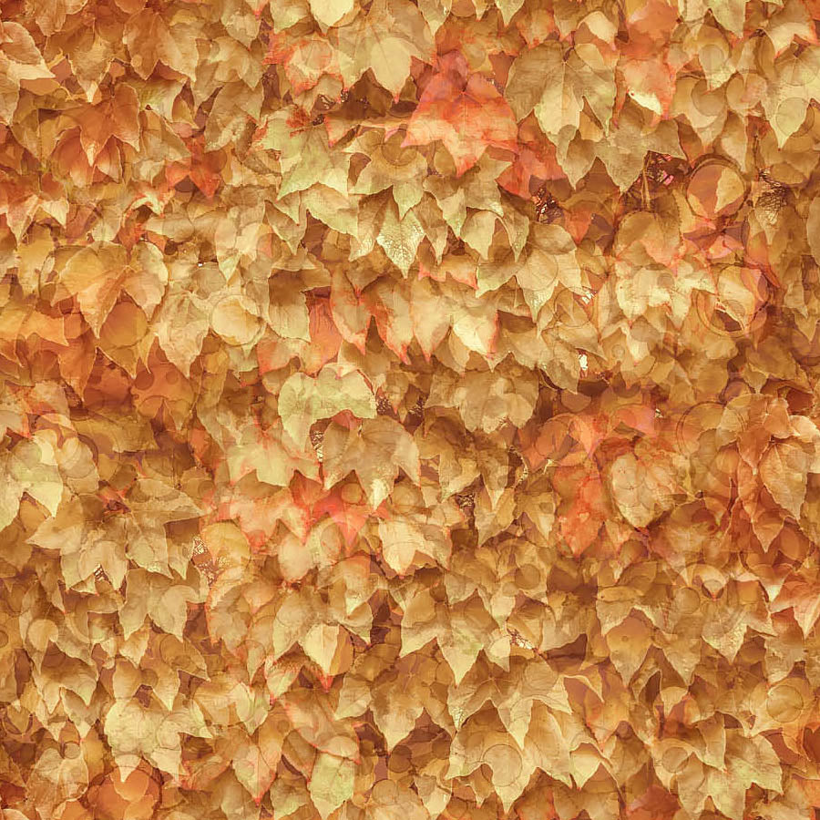 Autumn Breeze Leaf Pile Warm