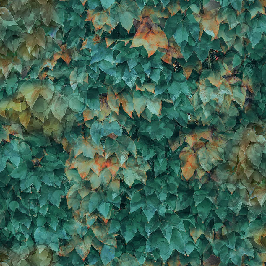 Autumn Breeze Leaf Pile Cool