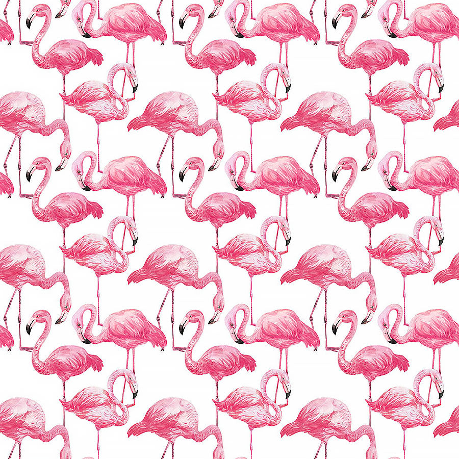 Coastal Breeze Flamingos White Multi