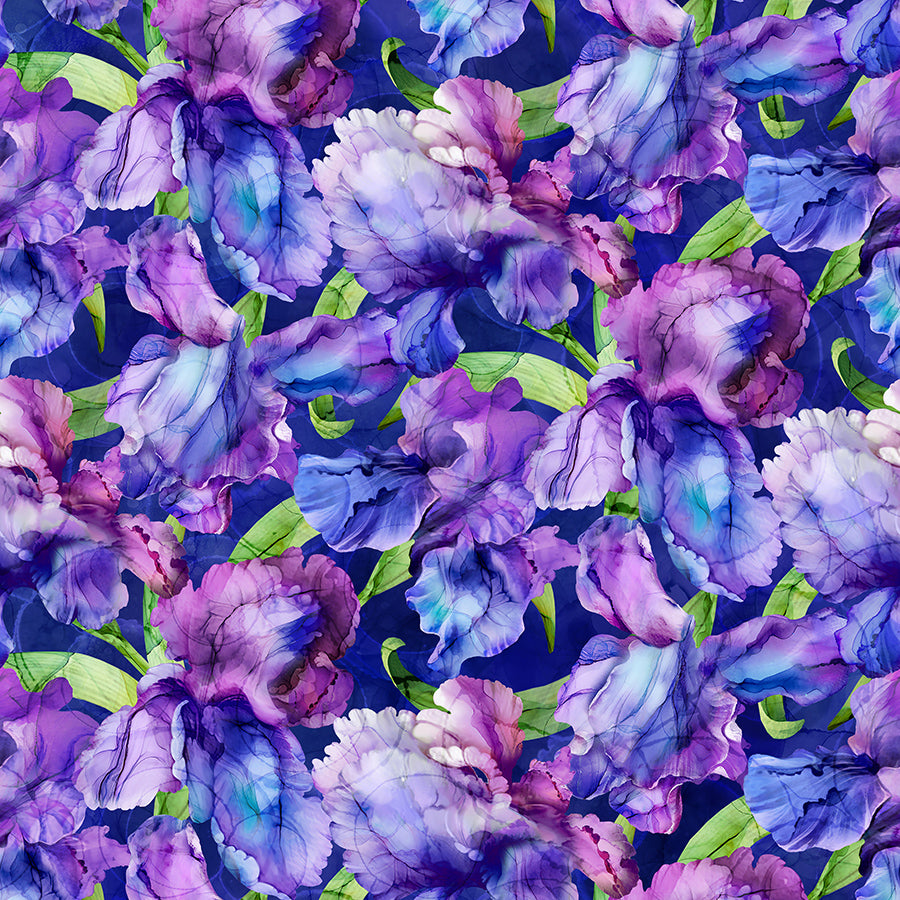 Infatuation Packed Iris Dark Purple Multi