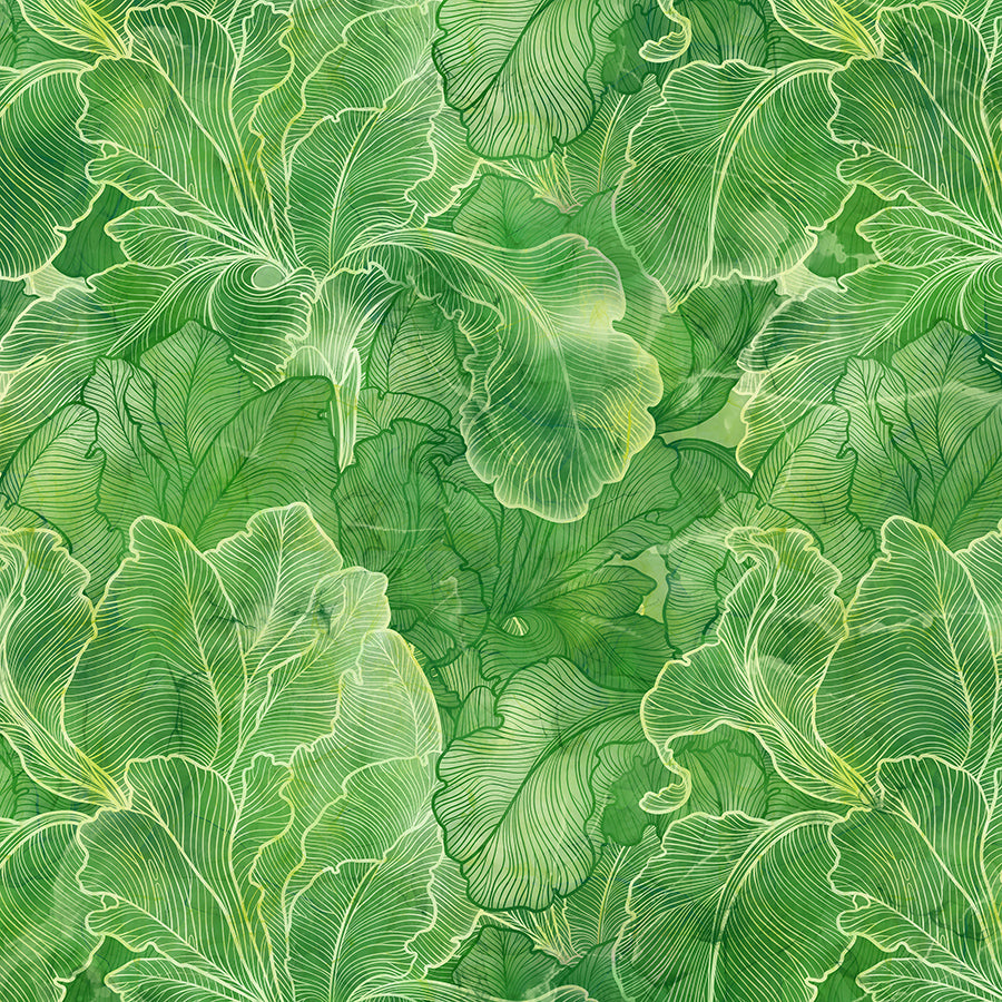 Infatuation Iris Texture Green
