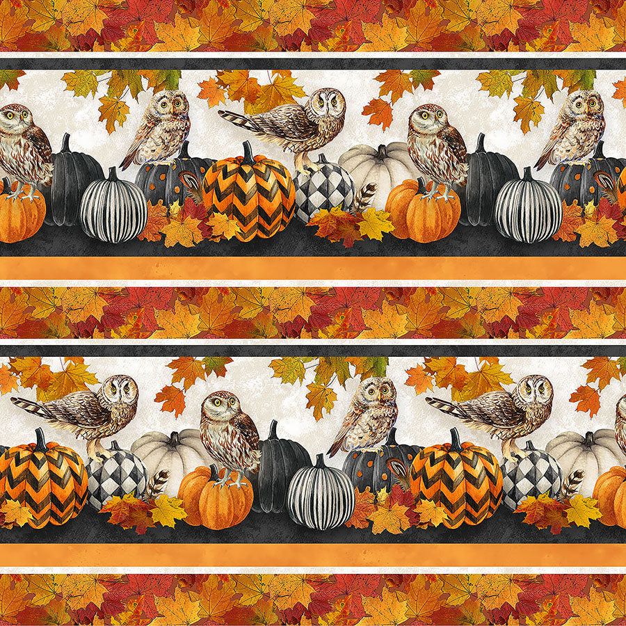 Night Owl Border Stripe Charcoal Multi