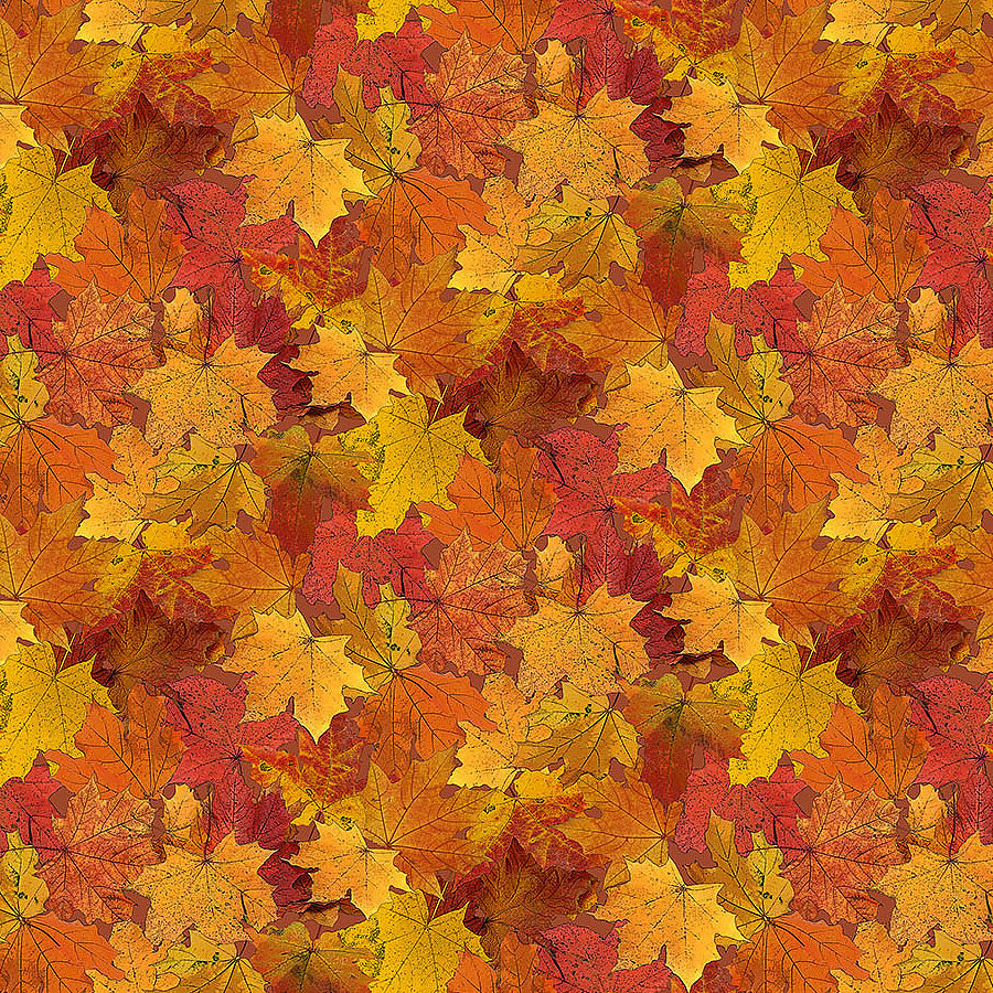 Night Owl Leaves Orange Multi