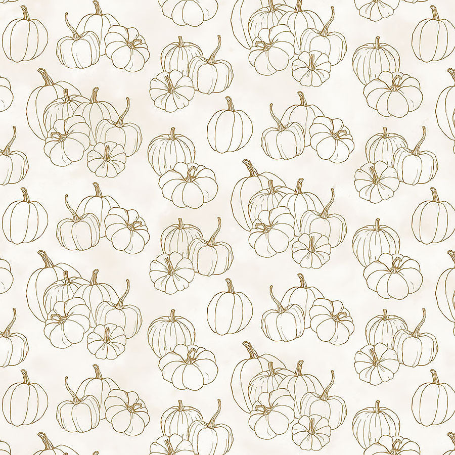 Night Owl Pumpkin Blender Cream