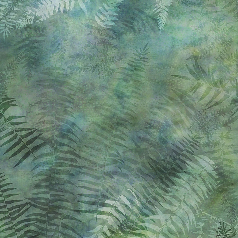 Best Loved Fern
