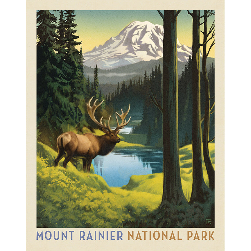 National Parks 36" Mount Rainier Panel Multi