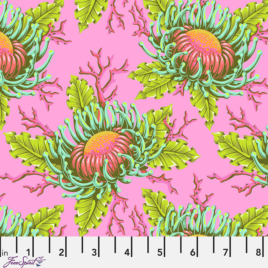 Floral Reef Friends & Anemones Coralline