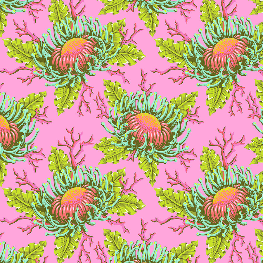 Floral Reef Friends & Anemones Coralline
