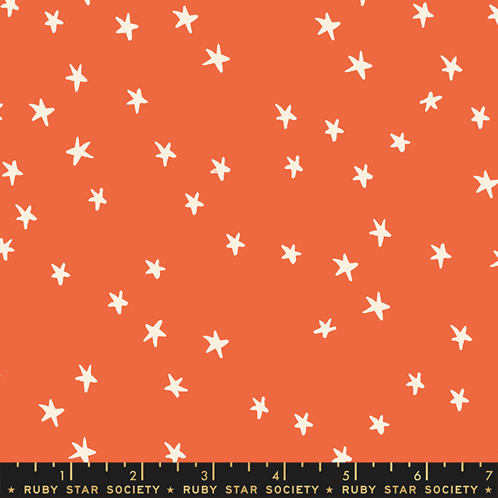 Starry Night Sky Nutmeg