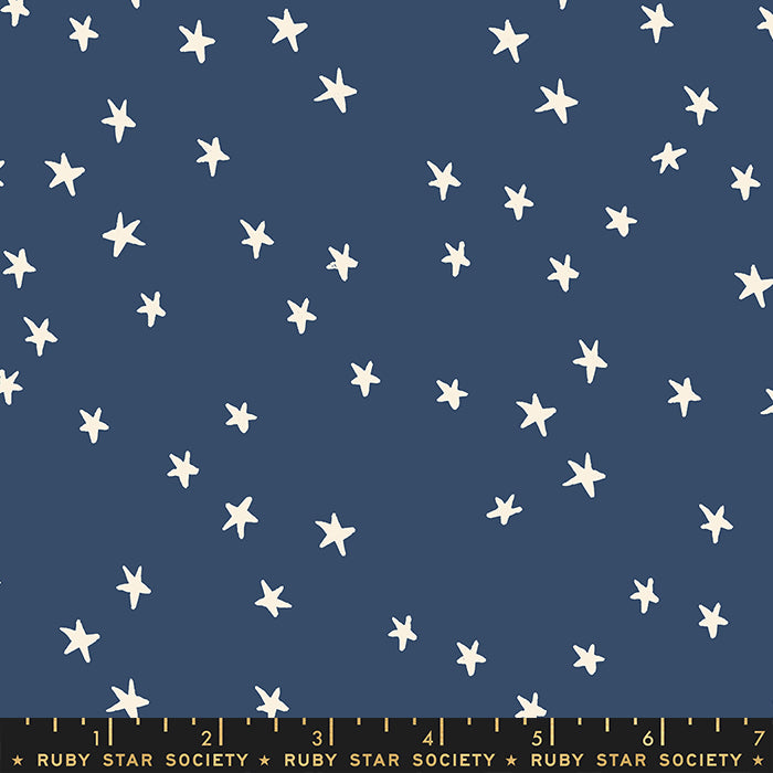 Starry Night Sky Bluebell