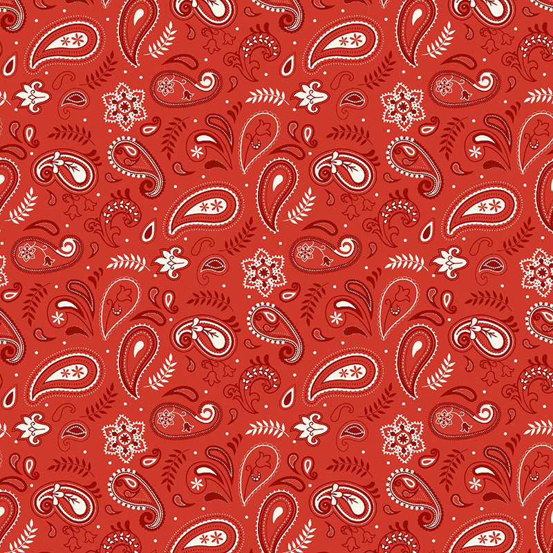 Stripes & Stars Paisley Red