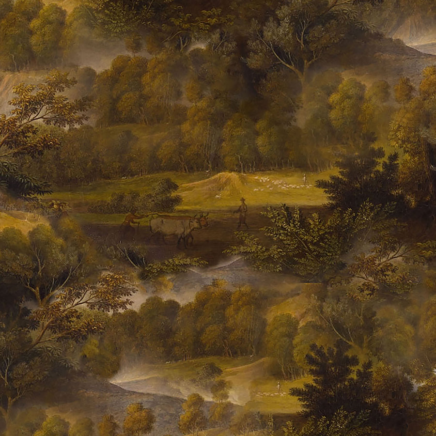 Among the Ferns Trees Landscape Fauna
