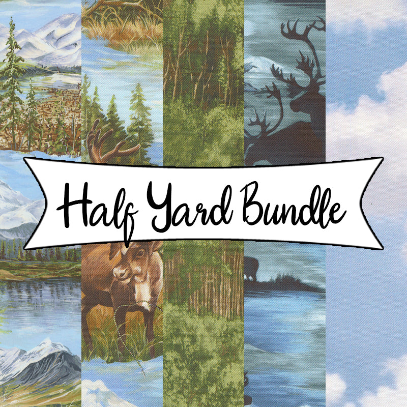 Wild Blue Yonder Half Yard Bundle