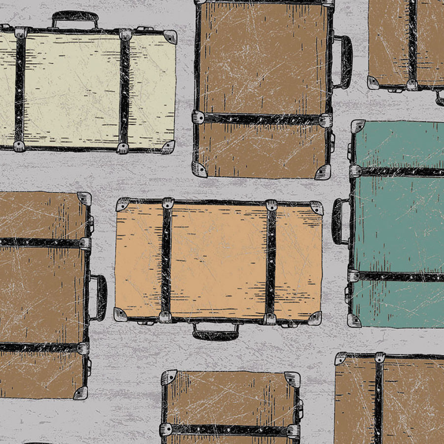 Explore Luggage Light Gray
