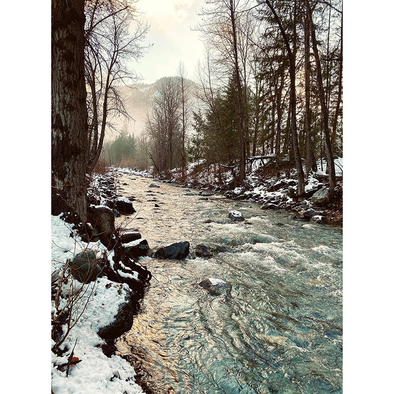 Call of the Wild 32.5" Panel Snowy River Sepia