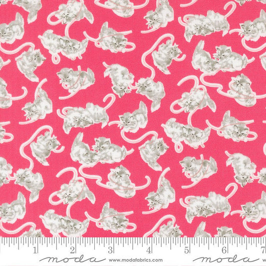 A Cat Named Stitch Kittens Rosie - Moda from Fort Worth Fabric Studio