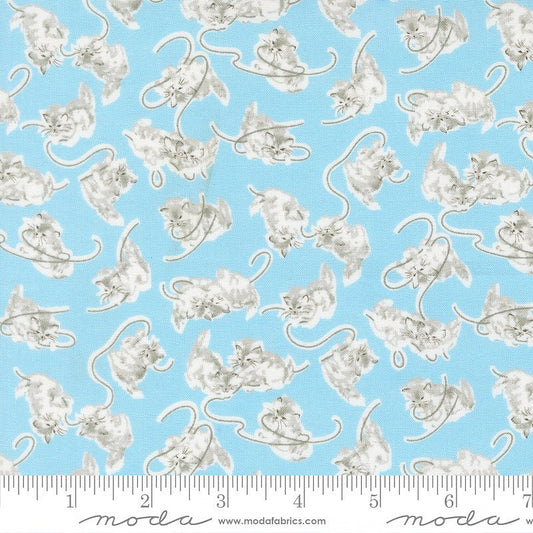 A Cat Named Stitch Kittens Sky - Moda from Fort Worth Fabric Studio