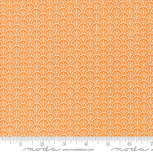 Agatha Road Scallop Blenders Pumpkin - Moda from Fort Worth Fabric Studio