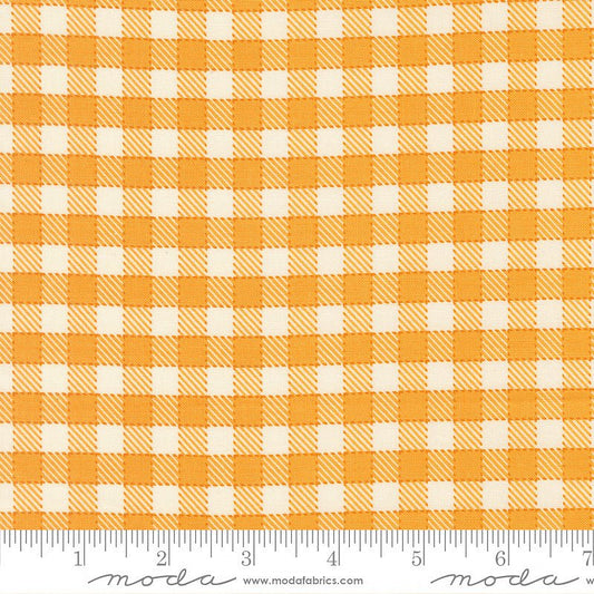 Animal Park Fun Checks & Plaids Canary - Moda from Fort Worth Fabric Studio
