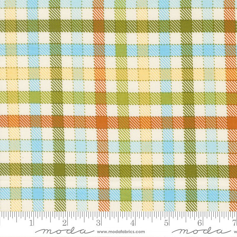 Animal Park Fun Checks & Plaids Iguana - Moda from Fort Worth Fabric Studio