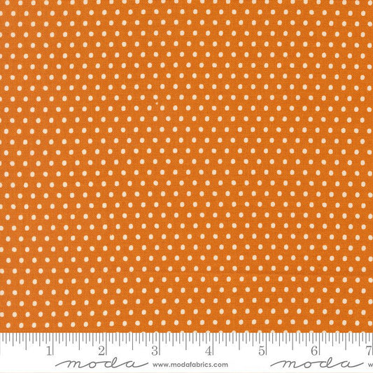 Animal Park Fun Dots Tiger - Moda from Fort Worth Fabric Studio
