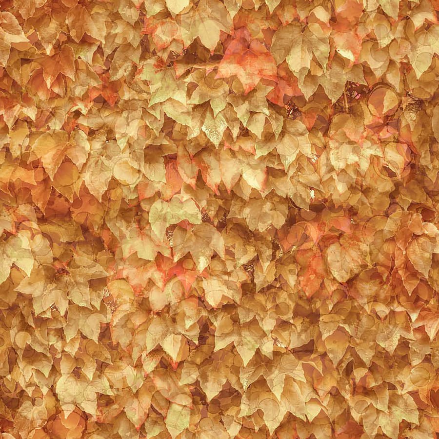 Autumn Breeze Leaf Pile Warm – Remnant 39″ × 44″